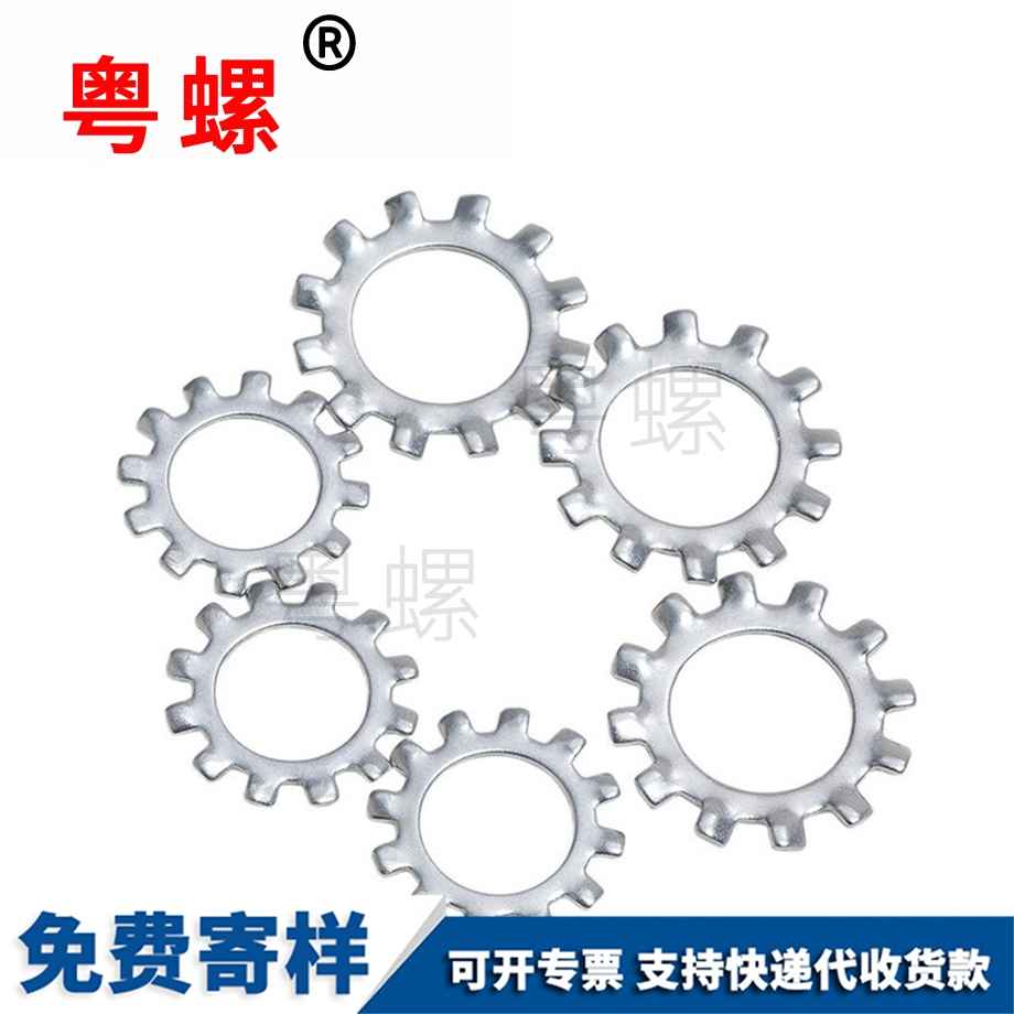 津南内多齿垫圈