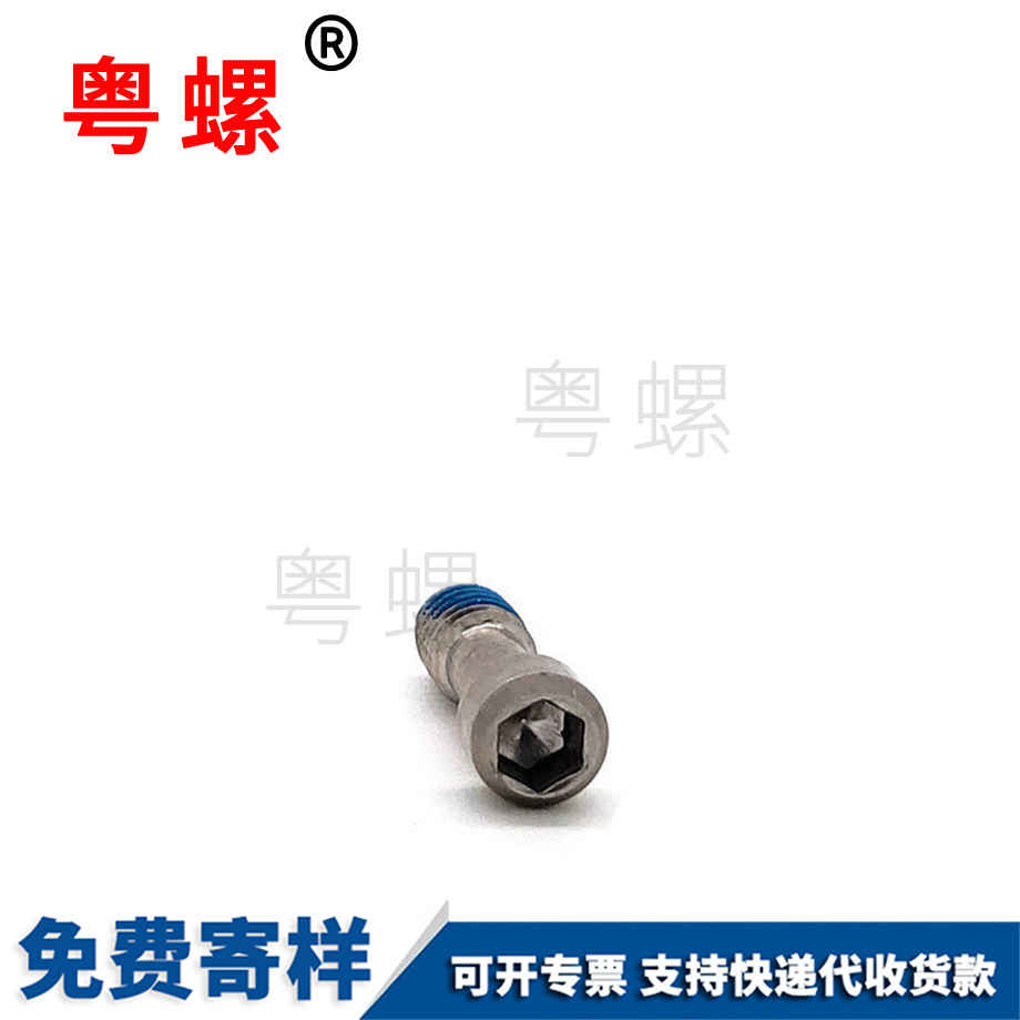 订制小杯头松湛江不脱螺丝