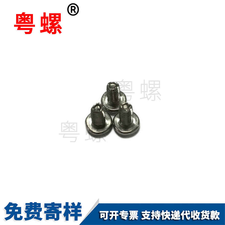 生产临沂自攻螺丝