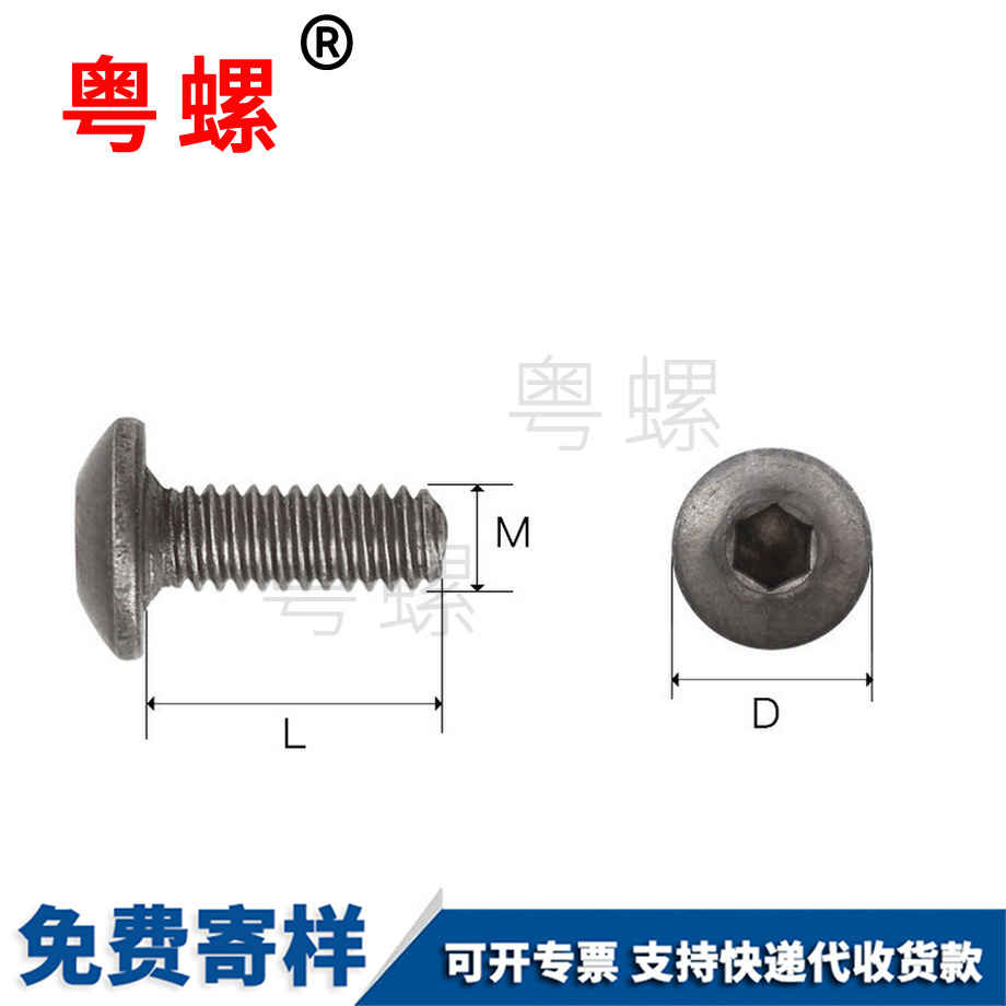 伊春钛合金螺钉
