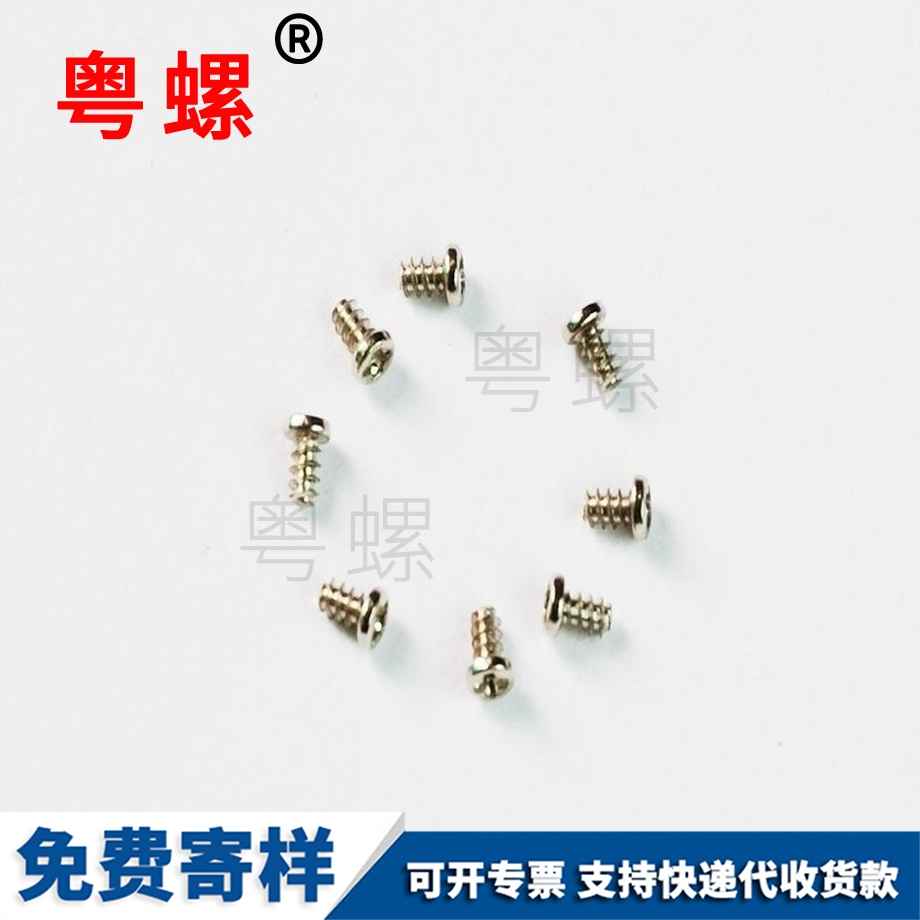 塑胶表壳底盖济宁不锈钢螺丝