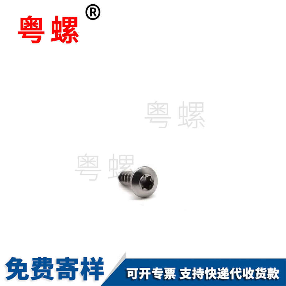 定制梅花穴张家口自攻螺钉