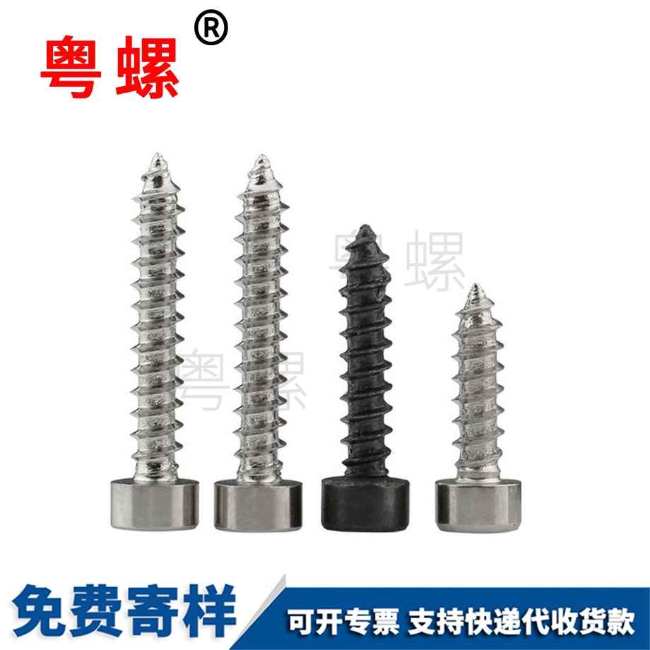 订制模型白山自攻螺丝