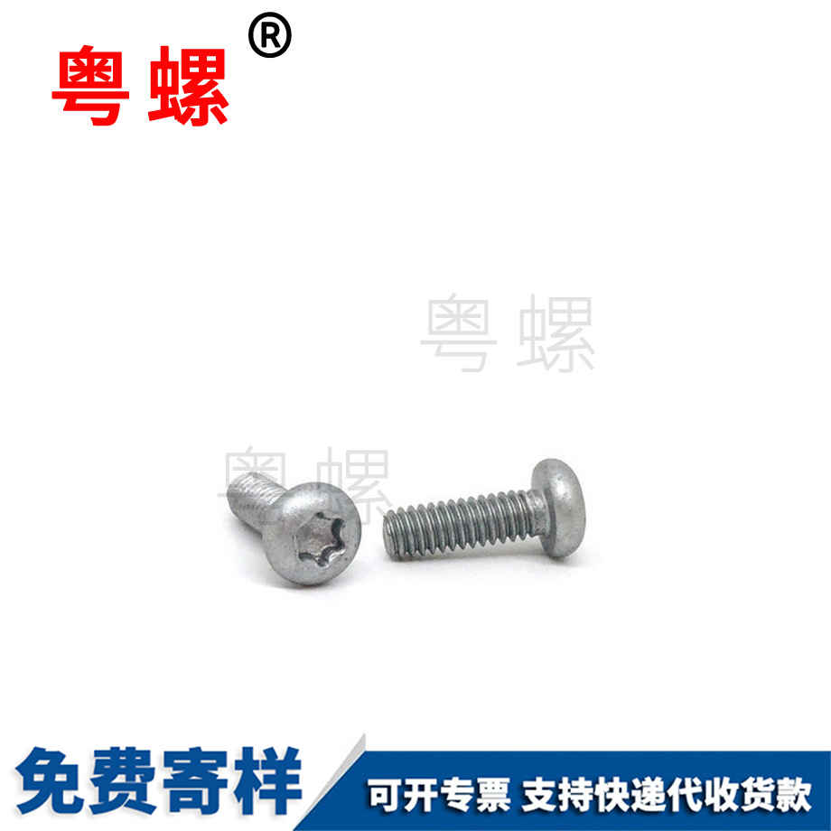 定做非标防锈螺丝