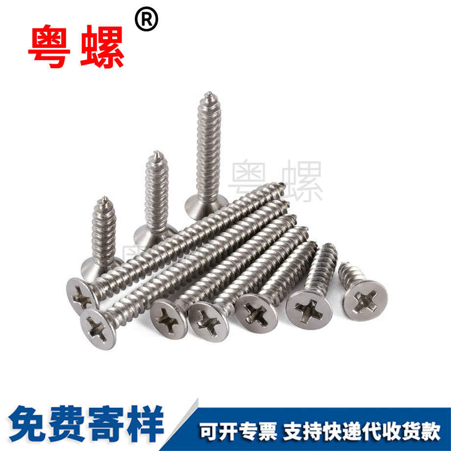 定制自攻绍兴螺丝钉