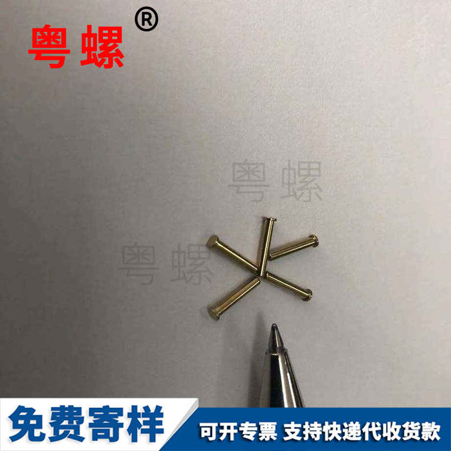 国标大理铜螺钉